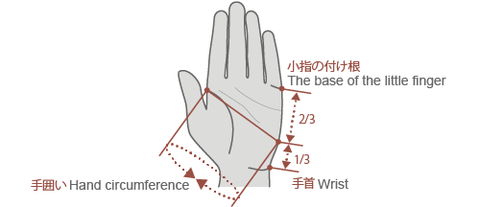 グローブ製品実寸図